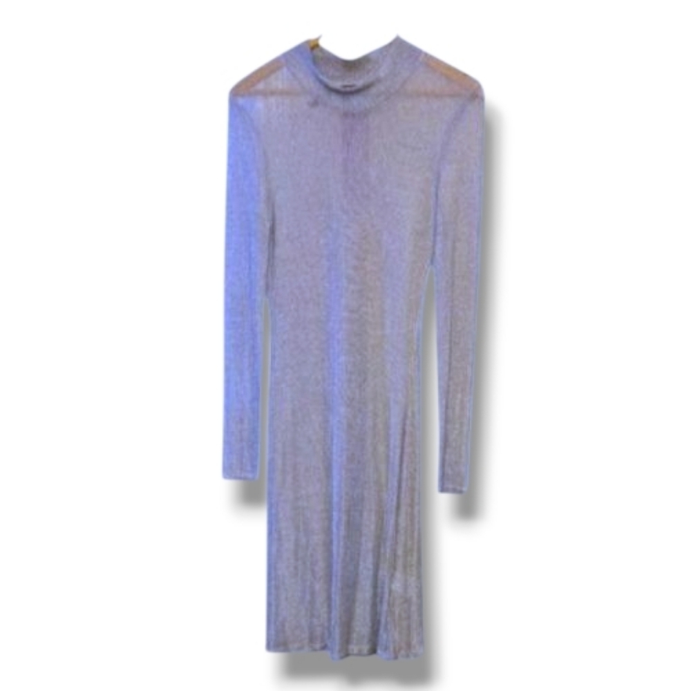 Eckhaus Latta Silver Metallic Sheer Overlay Dress